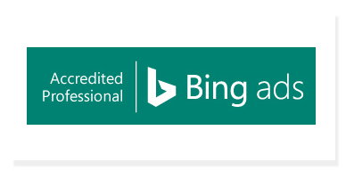 Bing Ads Professional
