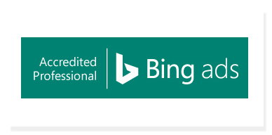 Bing Ads Professional